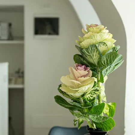 Casa Di Beppe Citta Alta Apartmán