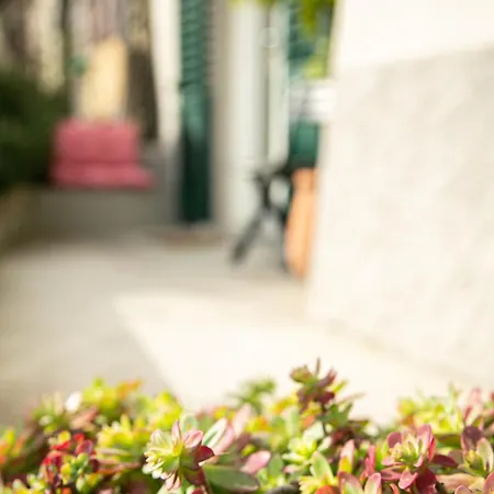 Casa Di Beppe Citta Alta Lägenhet