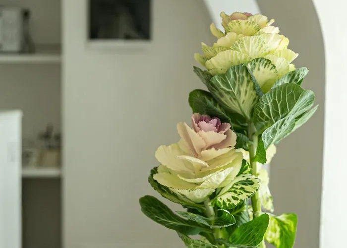 Casa Di Beppe Citta Alta Lägenhet